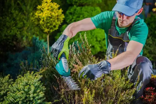 landscaping services L'Anse